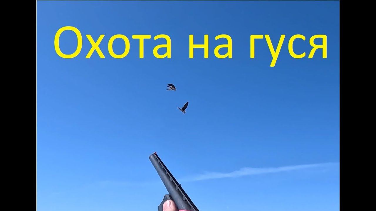 ОТКРЫТИЕ ВЕСЕННЕЙ ОХОТЫ НА ГУСЯ смотреть онлайн