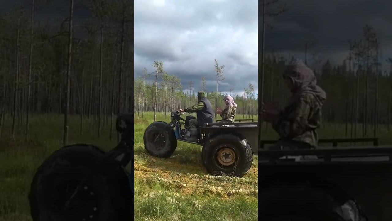 по болоту на вездеходе смотреть онлайн