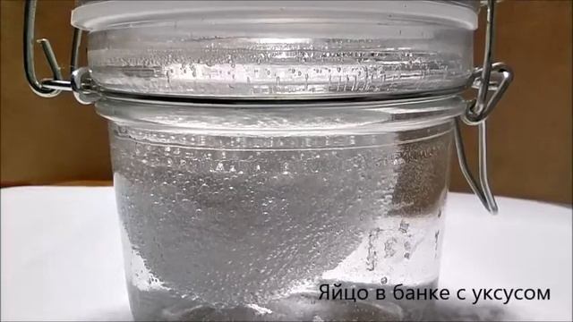 ЗанятиеБиблФМ Яичные эксперименты смотреть онлайн
