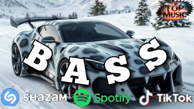 Зарубежные Хиты 2024 | WATEVA - Ber Zer Ker | Новинки Музыки 2024 | House, Electronic, Trap, Bass смотреть онлайн