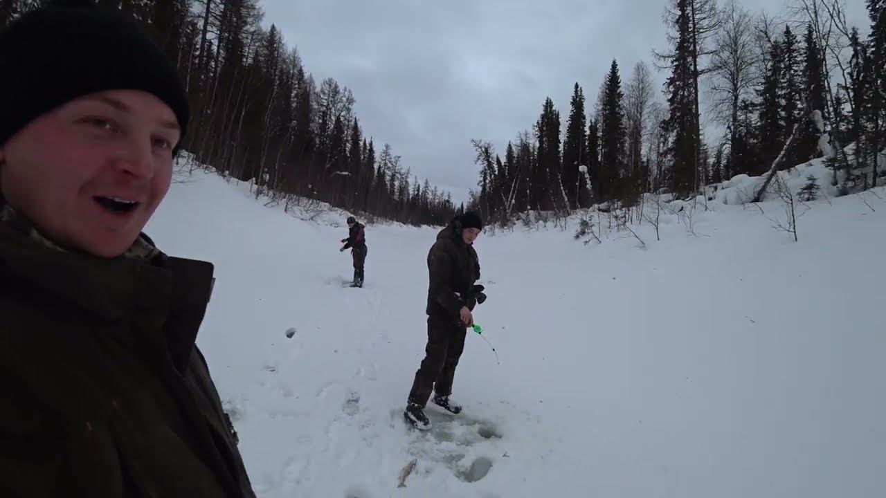дикий клев ХАРИУСА. Хариус в каждой лунке. смотреть онлайн