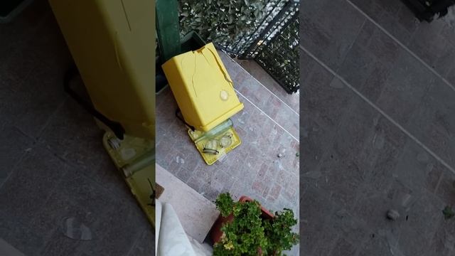VID 20230814 070111 смотреть онлайн