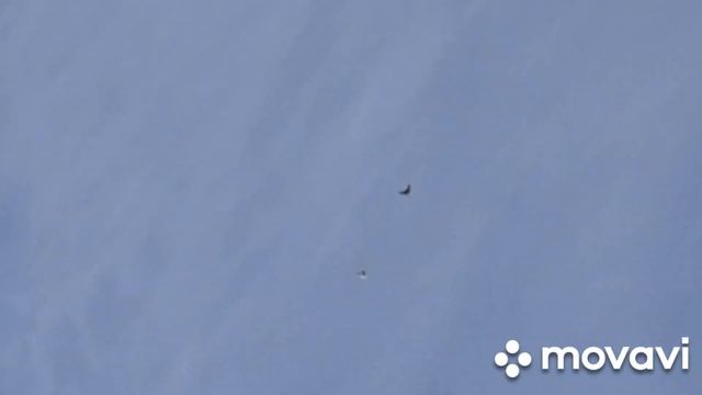 14 апреля 2024 г. В гостях у Драгнева Владимира. Николаевские голуби Мариуполя. смотреть онлайн