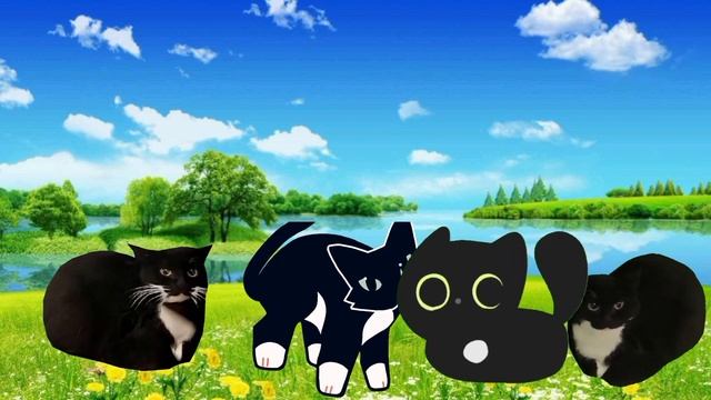 Maxwell the Cat Dance in Different years part 13 смотреть онлайн