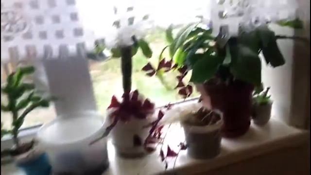 Кособродск 31 мая,Отопление | Монтаж системы коузи. Компания тепло 45 смотреть онлайн