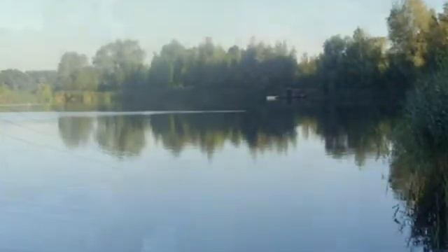 Gosławice - Carp Team Trójmiasto.wmv смотреть онлайн