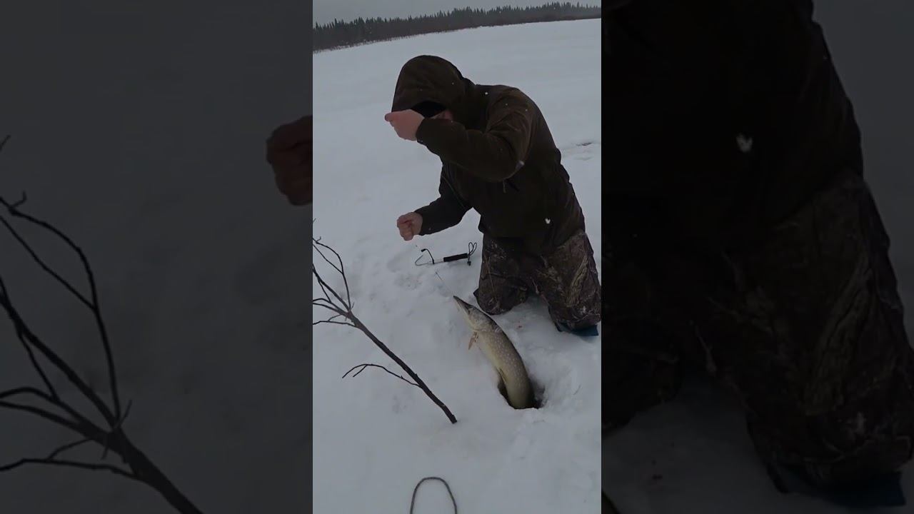 прицел сбился смотреть онлайн