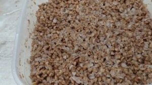 Как приготовить гречневую кашу в микроволновке