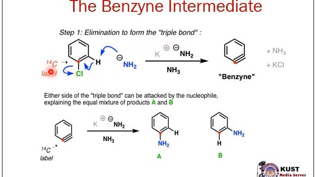 Nucleophilic aromatic substitution benzyne mechanism by dr murad смотреть онлайн