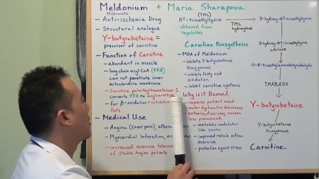 Meldonium and Maria Sharapova explained by a Medical Student смотреть онлайн