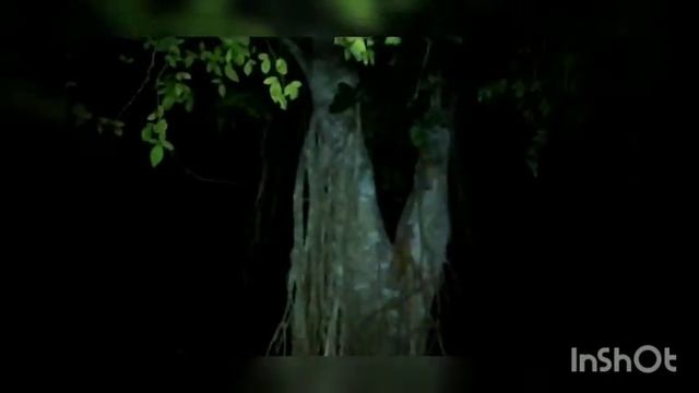 aj amra samshan ghat giye khub enjoy korlam смотреть онлайн