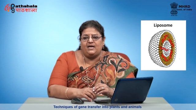 M-32.Techniques of gene transfer into plants and animals смотреть онлайн