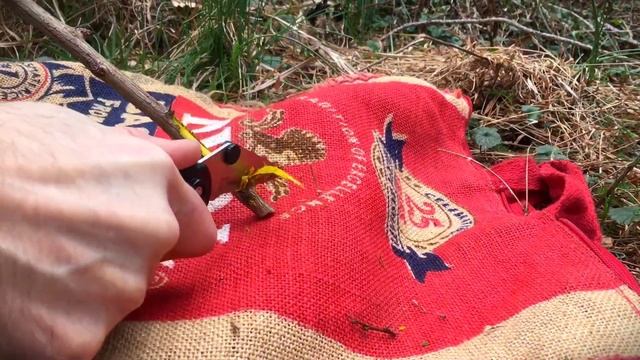 Barberry Bark (Berberine) :: How to harvest смотреть онлайн