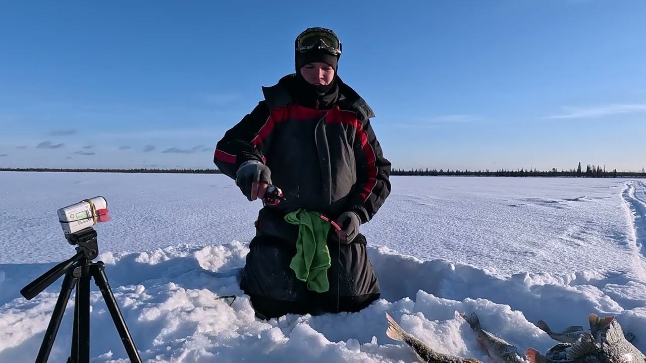 Нарвался на лунку и офигел от окуня смотреть онлайн
