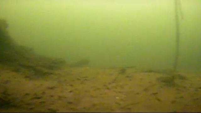 Вот такие караси смотреть онлайн