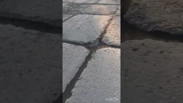 Рейс по Украине. Первое видео на канале, про мою работу))))) смотреть онлайн