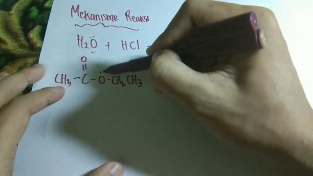 ILMU KIMIA DASAR - REAKSI HIDROLISIS смотреть онлайн