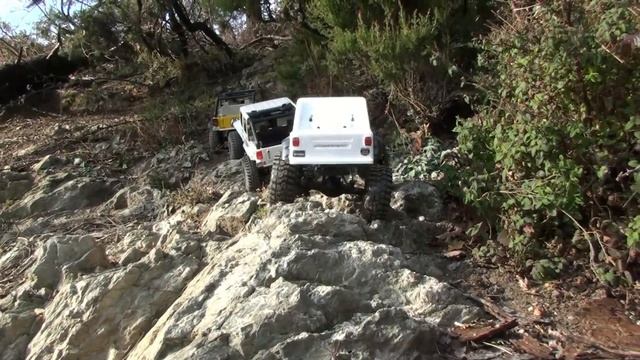 RC Scaler 4x4 - playsheep 30 genn 2010 parte 2 смотреть онлайн