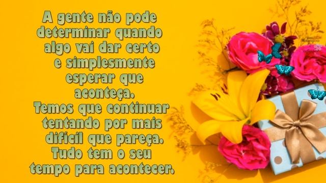 TUDO TEM SEU TEMPO CERTO -Nada é por acaso смотреть онлайн