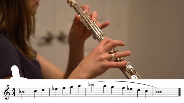 Flute 1 octave Bb scale Texas style смотреть онлайн
