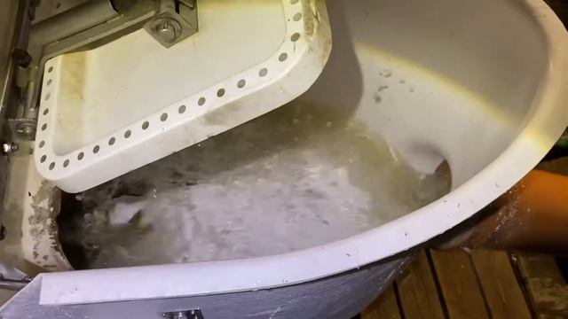 Запуск Карпа в общий водоём. Общая масса 1300кг!!! смотреть онлайн