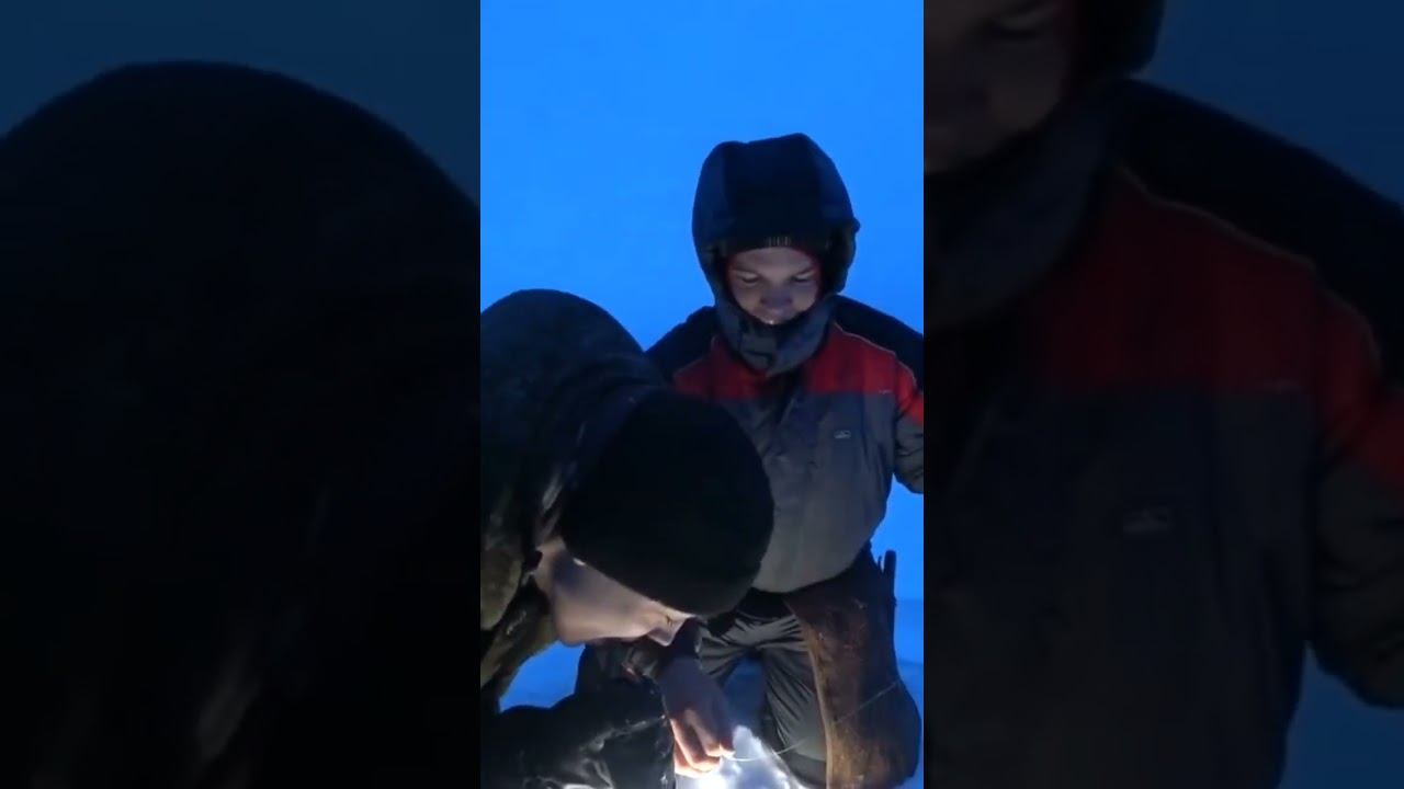 МОНСТР ЖИЛ НА ОЗЕРЕ смотреть онлайн