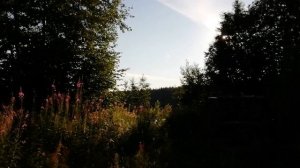 Карельские экспедиции  Озеро Таежное 2 часть