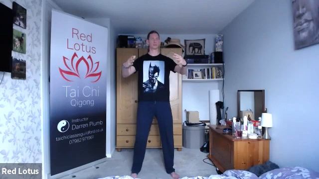 Qi gong and static Yang style tai chi смотреть онлайн