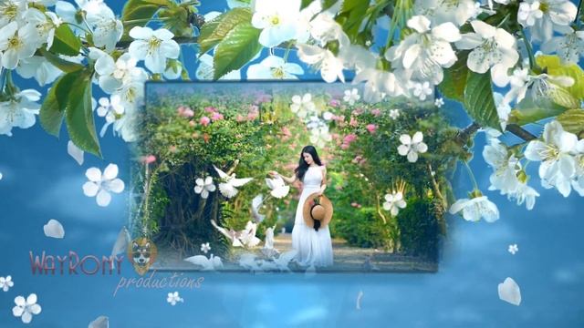 ProShow Slideshow 266 смотреть онлайн