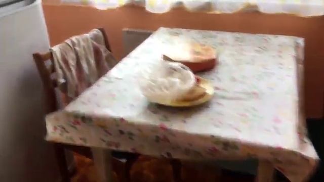 Самое простое отопление в монтаже . КОУЗИ с. Крестовское в Курганской области смотреть онлайн