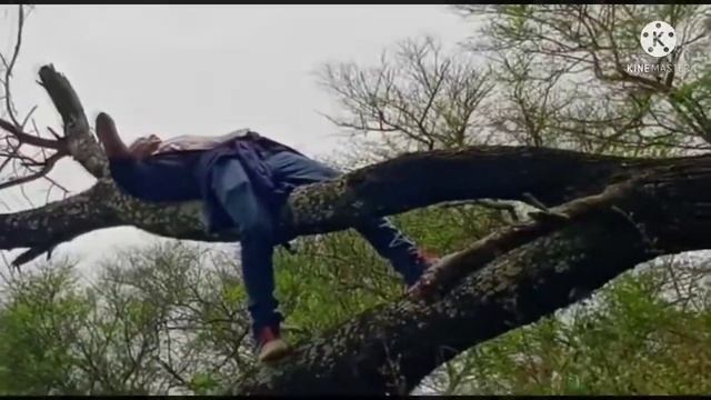 mo perem paibubi kebe re mili bani tote re new💔 HD💔odia full video 2021 смотреть онлайн