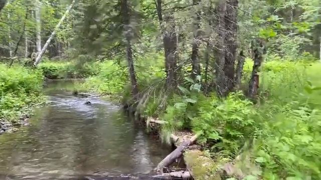 Нашли место, где течёт самая вкусная и чистейшая вода! смотреть онлайн