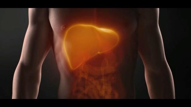 تحليل الفريتين أو مخزون الحديد،نقص الحديد،ارتفاعه،إالتغذية السليمة Férritine смотреть онлайн