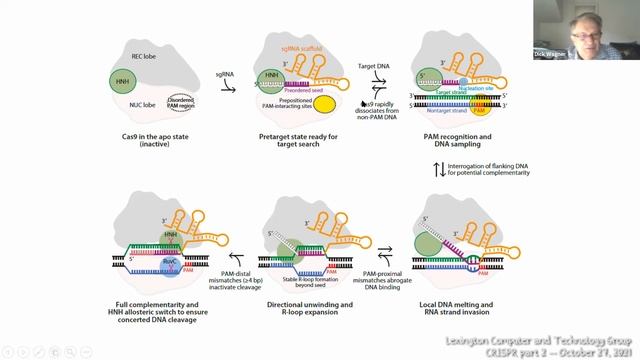 CRISPR Part 2 смотреть онлайн