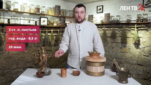 Листья смородины. О травах. Будим в будни смотреть онлайн