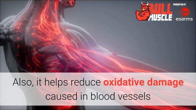 Top 6 Effects Of Cardarine (GW501516) смотреть онлайн
