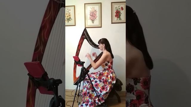 Can you feel the love tonight. (harp-cover)