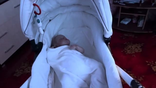 Влог! Ночь с реборном Тимуром 🛏🎶 смотреть онлайн
