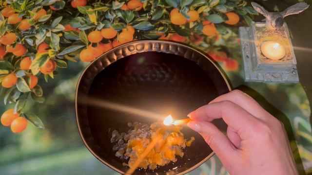 ВАЖНЕЙШИЕ СОБЫТИЯ БЛИЖАЙШИХ ДНЕЙ ‼️🔥💯 смотреть онлайн
