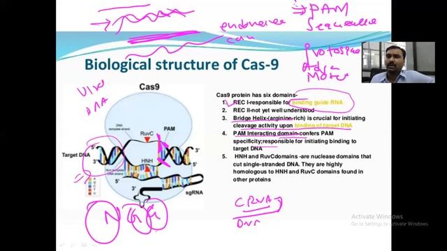 CRISPR CAS 9 basics || CRISPR CAS9 gene editing technolgy смотреть онлайн