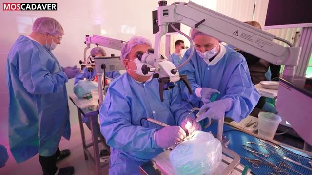 Кадавер курс для отриноларингологов "Микрохирургия уха" под руководством профессора С.Я. Косякова смотреть онлайн