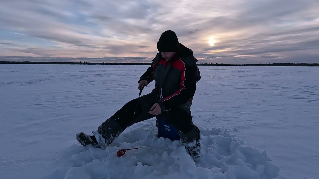 Ловля окуня зимой. Черный озерный окунь. смотреть онлайн