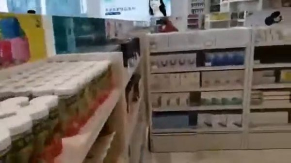 Наш магазин Green Leaf в Китае