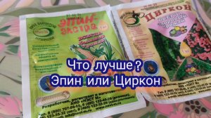 Эпин или циркон? Что и когда использовать при стрессе у растений.