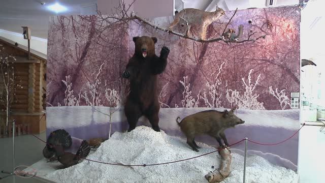 Краеведческий музей часть 2 г Сызрань "без прикрас" . смотреть онлайн