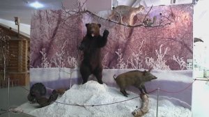 Краеведческий музей часть 2  г Сызрань "без прикрас" .