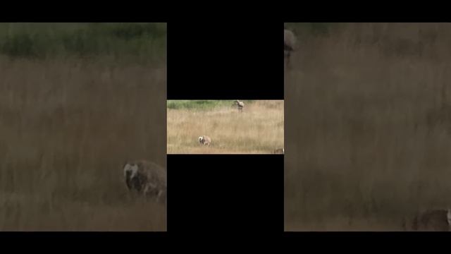 Мир духов 4 смотреть онлайн