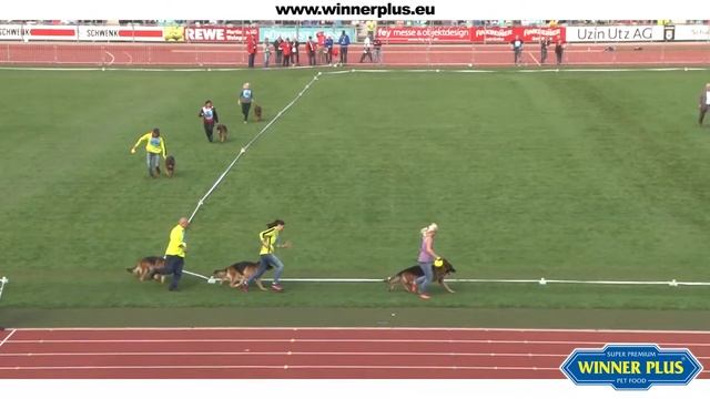 Winner Plus Werbeclip смотреть онлайн