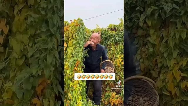 Для хорошего настроения вам в ленту 🤣🤣🤣🤣🤣 смотреть онлайн