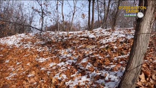 Ҳатто "Бобурнома"да келган қадимий Самсарак қишлоғининг таирхи | Bir qishloq tarixi смотреть онлайн